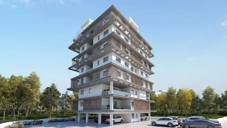 Project Image 8