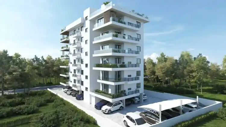 Project Image 8