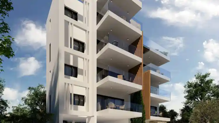 Project Image 7