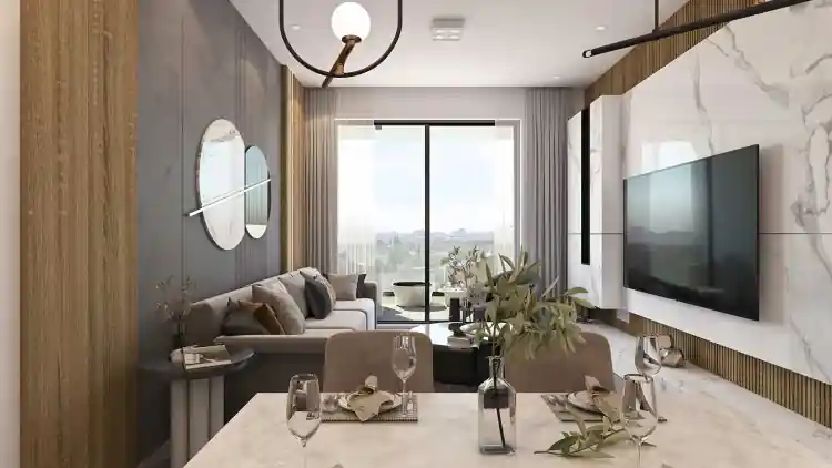 Project Image 8
