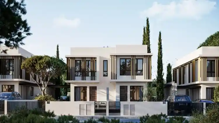 Project Image 11