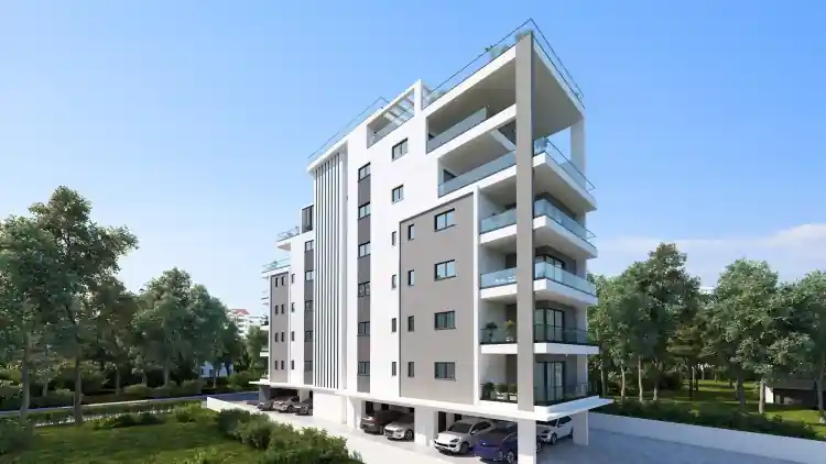 Project Image 7