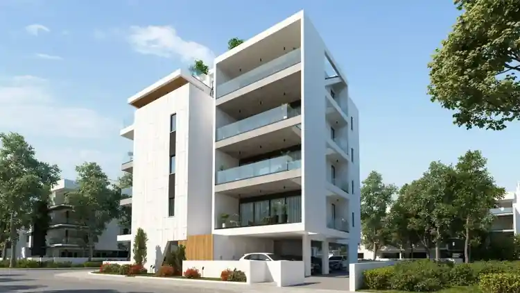 Project Image 3
