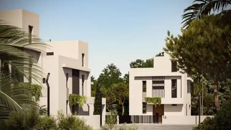 Project Image 6