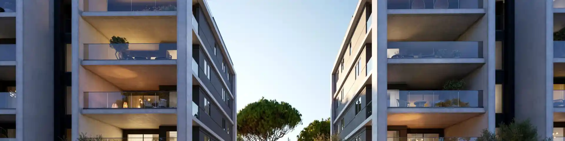 Vision
