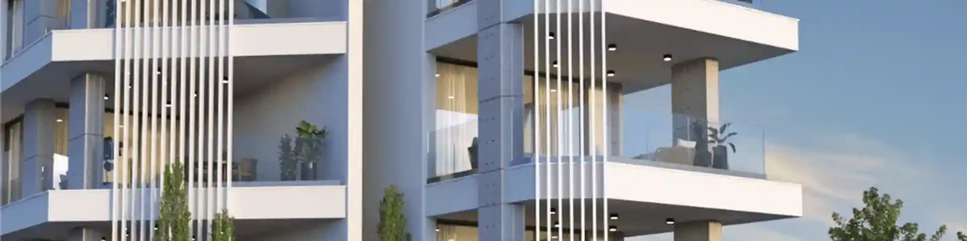 Novel