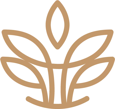 Kalamon Homes logo