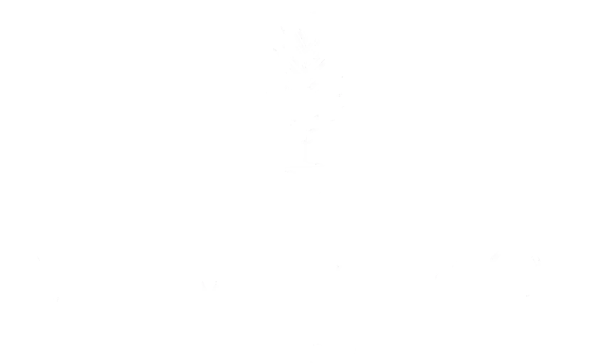 Palm Beach Resort logo