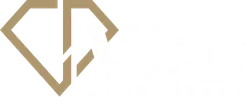 VCD Developers logo