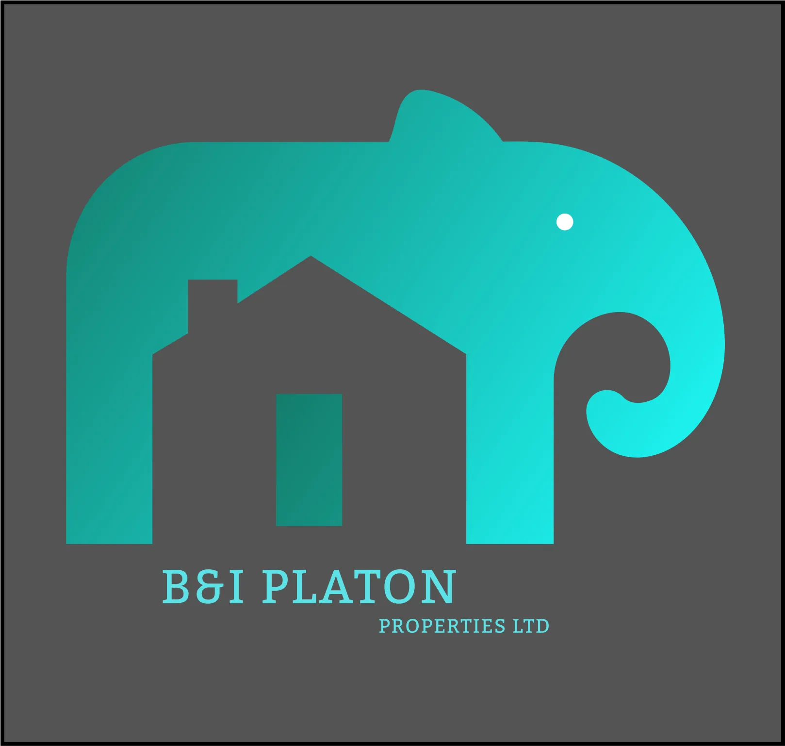 B&I PLATON PROPERTIES LTD logo