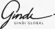 Gindi Global avatar